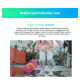 BlackView TAB A5 Kids 8" Tablet με WiFi (3GB/64GB) Pink BlackView TAB A5 Kids 8" Tablet με WiFi (3GB/64GB) Pink