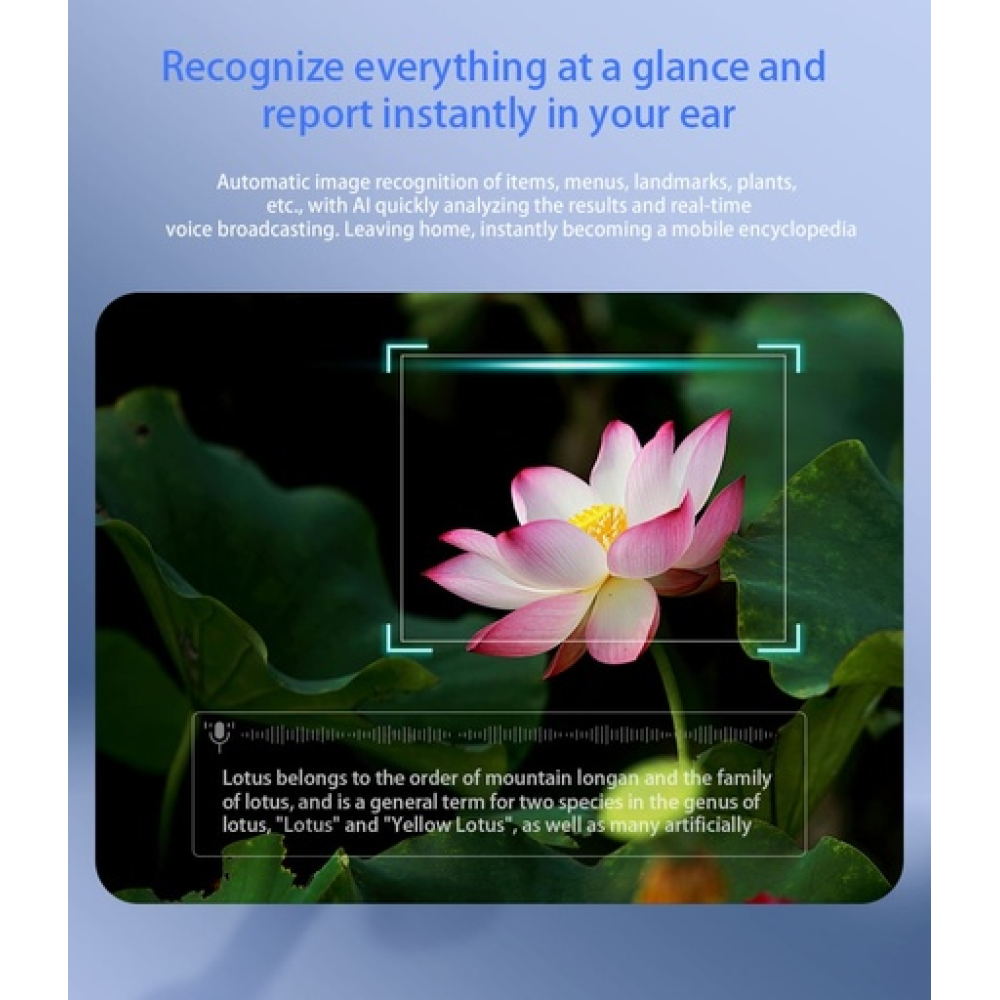 Blackview BV100 AI glasses 2K HD 800W Pixels Smart Glasses Polarized Blackview BV100 AI glasses 2K HD 800W Pixels Smart Glasses Polarized