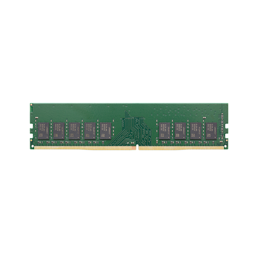 Synology D4EU02-16G