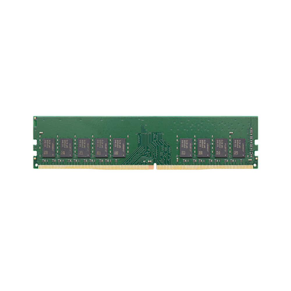 Synology D4EU02-8G